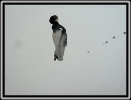 FOOTSTEPS IN SNOW  70,5 cm x 66 cm oil/chinese ink on canvas