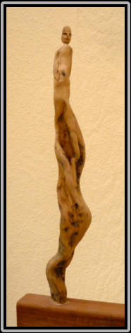 EAST COAST   60 cm high   Drift Wood